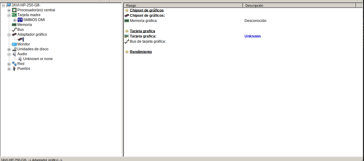 Pantalla de información del procesador gráfico y la memoria gráfica
